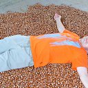 ���� ���� ����, ������, 40 ��� - ��������� 28 ������� 2013 � ������ ���� ����������