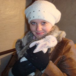 ���� �����, ��������, 41 ��� - ��������� 1 ������ 2013