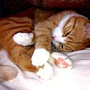 �� ���� �� � �� ����...