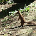 ���� ���������, ���������������, 61 ��� - ��������� 27 ������ 2014 � ������ �������