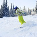 ���� ���������, �����������, 40 ��� - ��������� 24 ������� 2013 � ������ ���� ����������