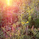 ���� �-�, �����-��������� - ��������� 12 ������� 2013 � ������ ���� ����������