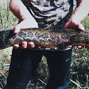 ���� ������ �-a, ������, 53 ���� - ��������� 1 ������� 2014 � ������ ���� ����������