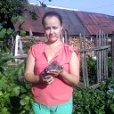 ���� ����, ����� - ��������� 27 ������� 2013 � ������ ���� ����������