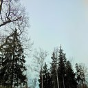 ���� ���� ������ � ���� �� ������� ������������� �����