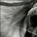 ���� ������, ���� - ��������� 20 ������ 2014 � ������ ������