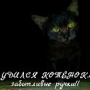 ���� �����, ������������, 32 ���� - ��������� 8 ������ 2014 � ������ ���� ����������