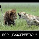 ���� ������, ������ - ��������� 17 ������� 2013 � ������ ������ ��������