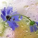 ���� �����, ��������, 38 ��� - ��������� 15 ������ 2013 � ������ ����� ��� ����))))�