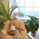 ���� �������, �����-��������� - ��������� 31 ������� 2013 � ������ ���� ����������