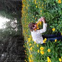 ���� ����/�������.62��., ��������, 39 ��� - ��������� 5 �������� 2013 � ������ ���� ����������