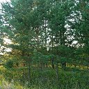 ���� ����, ��������, 52 ���� - ��������� 1 �������� 2013 � ������ ���� ����������