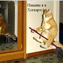 ���� Serjey, ��������, 35 ��� - ��������� 6 ������� 2013 � ������ ���� ����������