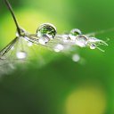 ���� ����, �������� - ��������� 4 �������� 2013 � ������ ��������, �����������