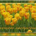 ���� �������, ������ - ��������� 6 ����� 2014 � ������ ������ ��������