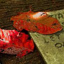 �����. ��������� �� ������� �����������