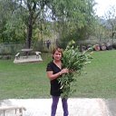 ���� ��������, ���������� �����, 50 ��� - ��������� 18 ������� 2013 � ������ �������