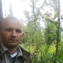 ���������, �������, 50 ���