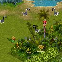 ���� ���, ������ - ��������� 30 ������� 2013 � ������ �Tropikania�