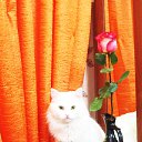 ���� ���� Beautiful, ������� - ��������� 16 ������� 2014 � ������ ���� ������� ���