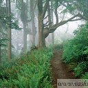 ���� ����, �����-���������, 39 ��� - ��������� 4 �������� 2013