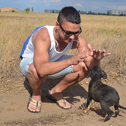 ���� ������ ������, ������, 34 ���� - ��������� 7 ������� 2013