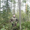 ������ �� ������� ���� ����������