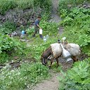 ���� ������, ���������, 36 ��� - ��������� 9 �������� 2013 � ������ ���� ����������