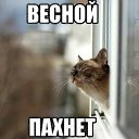 ���� ��������, ������ - ��������� 18 ������� 2014 � ������ ������ ��������