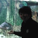 ���� ��������, ������, 66 ��� - ��������� 8 ������ 2013 � ������ ���� ����������