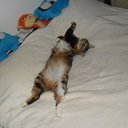 ���� ������ ��� ����. �� ������� ������ ��������