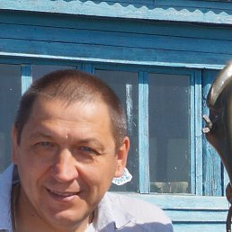 ����������, �������, 56 ���