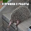 ���� �����, ������, 53 ���� - ��������� 26 ������� 2014 � ������ ������ ��������
