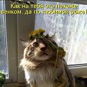 ���� �������, ����������� - ��������� 8 ������� 2013 � ������ ��������� ��������