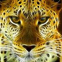 ���� �������, ���� - ��������� 13 ������ 2013 � ������ �Leo�