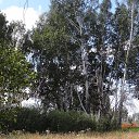 ���� ������, �����������, 57 ��� - ��������� 8 �������� 2013 � ������ ���� ����������