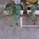 ���� ������, ������, 45 ��� - ��������� 12 ������� 2013 � ������ ������ ������� � ����������