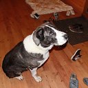 ���� �����, ������, 36 ��� - ��������� 19 ������ 2014 � ������ ���� ����������