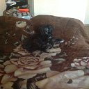 ���� ���������, ������, 44 ���� - ��������� 4 ������� 2013 � ������ ���� ����������