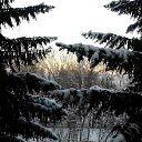 ���� �������, �����, 56 ��� - ��������� 11 ������ 2013 � ������ ���� ����������