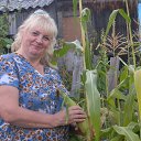 ���� �������, ����������, 64 ���� - ��������� 15 �������� 2013 � ������ ���� ����������