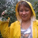 ���� ��������, ���������� �����, 50 ��� - ��������� 18 ������� 2013 � ������ �������