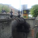 ���� ������, �����-���������, 61 ��� - ��������� 10 ����� 2014 � ������ ���������, ������ 2010�