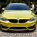 ���� ����������, ����������, 43 ���� - ��������� 29 �������� 2013