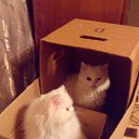 ����� ���������� 2 �� �� ������� ������ ��������
