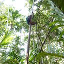 ���� �������, ���������� - ��������� 10 ������� 2013 � ������ ���� ����������