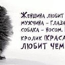 ���� ����� ���, ���������, 49 ��� - ��������� 5 ����� 2014