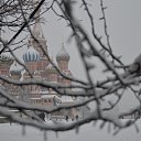 ���� �����, ������, 81 ��� - ��������� 29 ������� 2013 � ������ ���� ����������