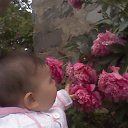 �������� �� ������� ����� ��� ������������