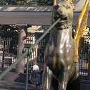 ���� ����, �������, 64 ���� - ��������� 29 ������� 2013 � ������ ���� ����������